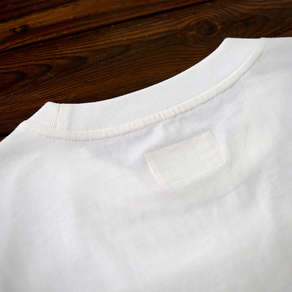「ウィトルウィウス的にゃん体図」スケッチ風線画コットンTee - Image 7